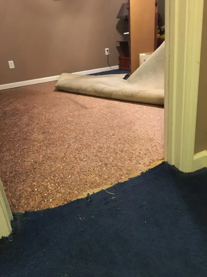 Carpet pad removal revealing water damage during Water Mitigation Services in Poquoson